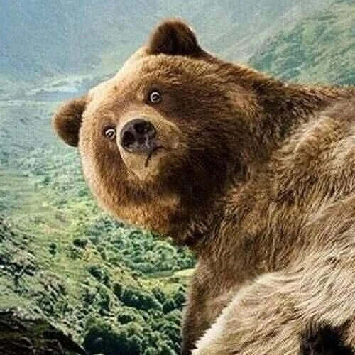 Первая добыча после возвращения охоты в Татарстане