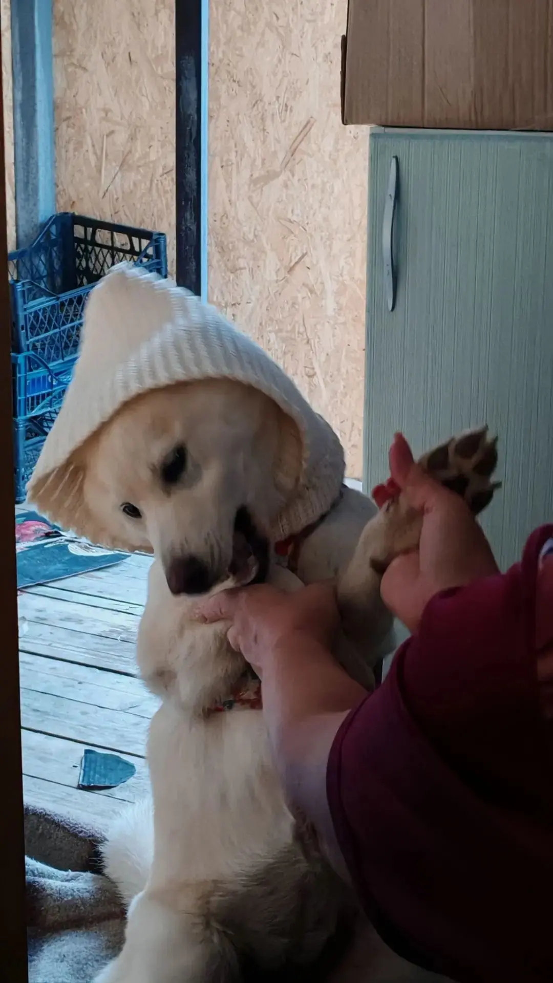 Доброго вечера всем 🤗