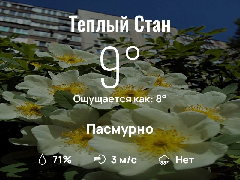 Что с погодой в Теплом Стане?