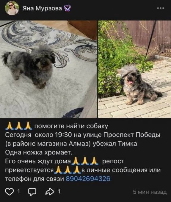 🐾 Арбеково, помогаем!
