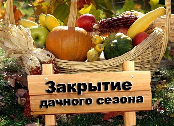 Дачный сезон в Череповце официально закрывают 12 октября