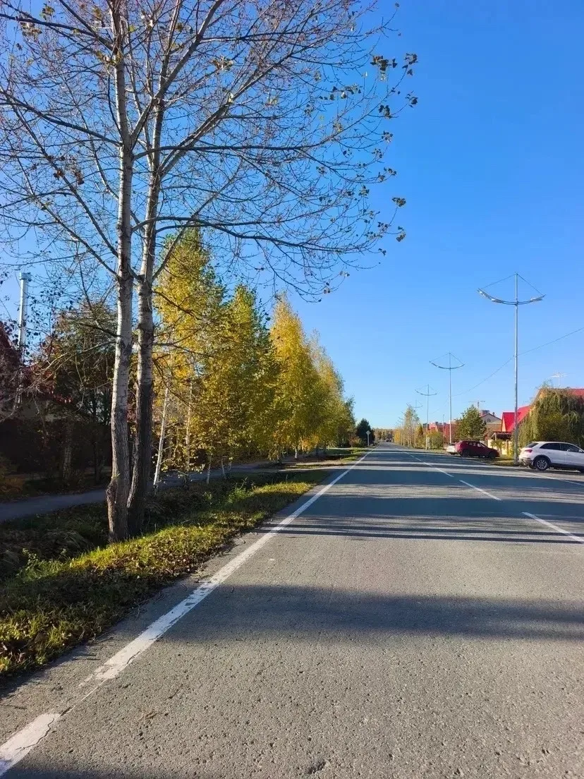 Осень в Комарово 🍁