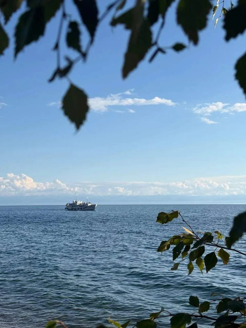 Предлагаем полюбоваться умиротворяющими байкальскими пейзажами 🌊