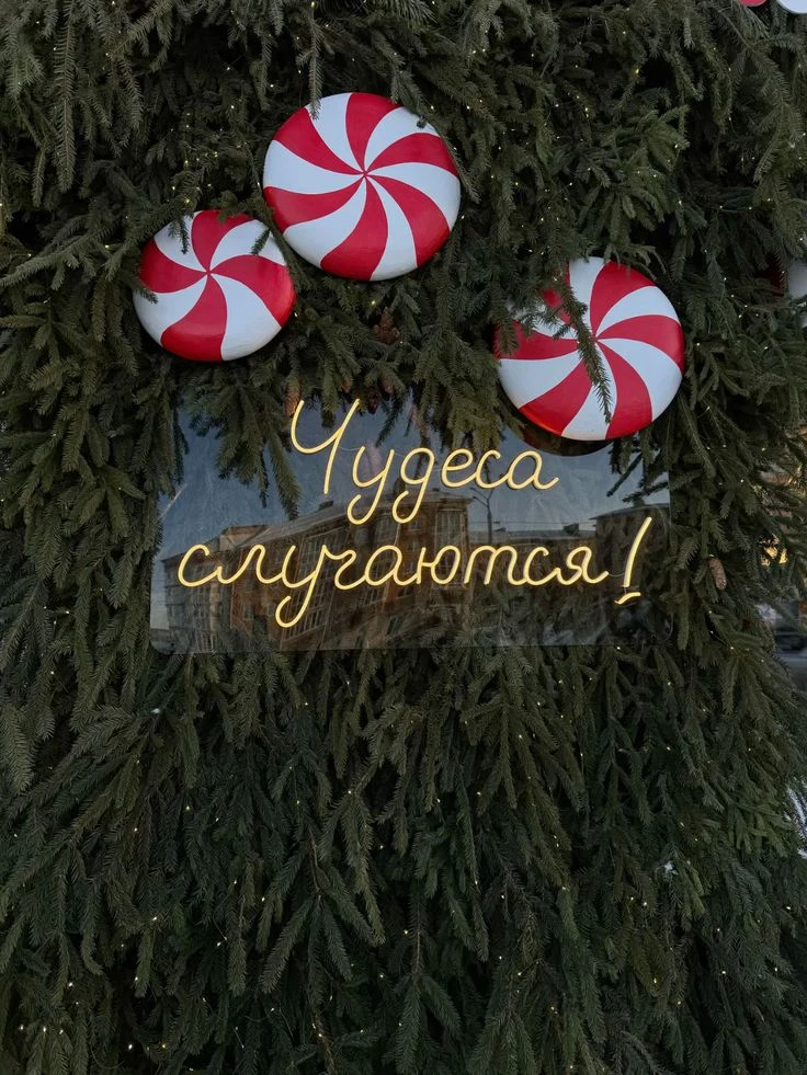 Уже ЗАВТРА УЗНАЕМ ПОБЕДИТЕЛЯ ✨