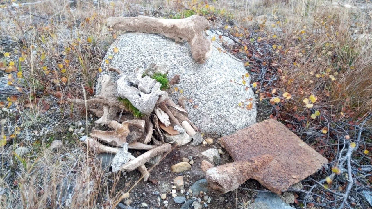 В Долине Славы захоронят останки 79 советских воинов