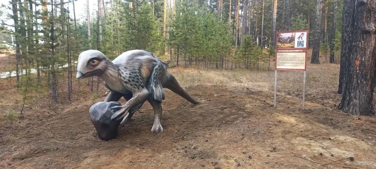 В ландшафтном парке «Динолес» в Забайкалье завершается второй этап благоустройства — и ...