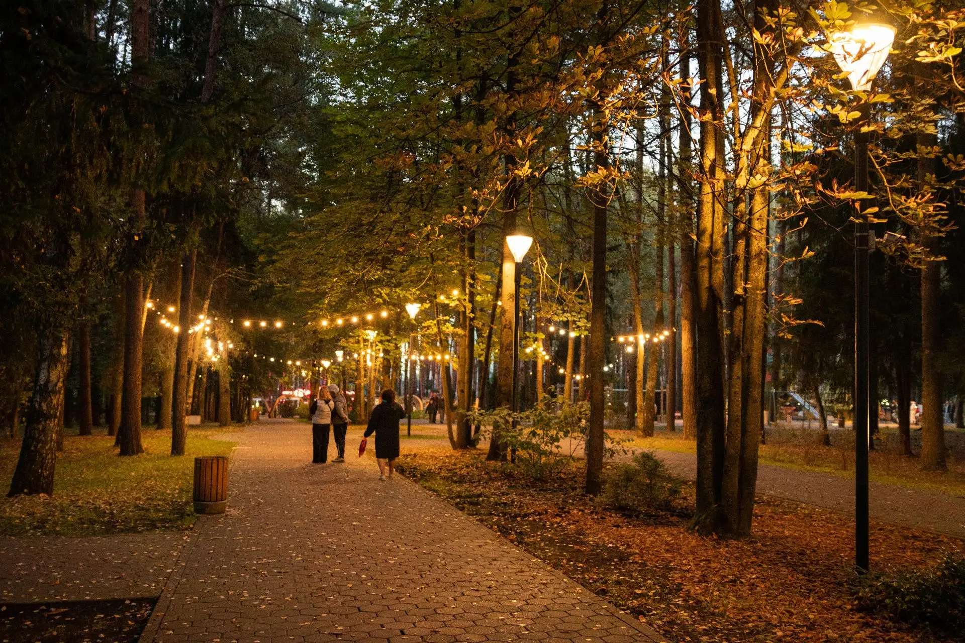 🍁✨ Горит гирлянда средь ветвей,