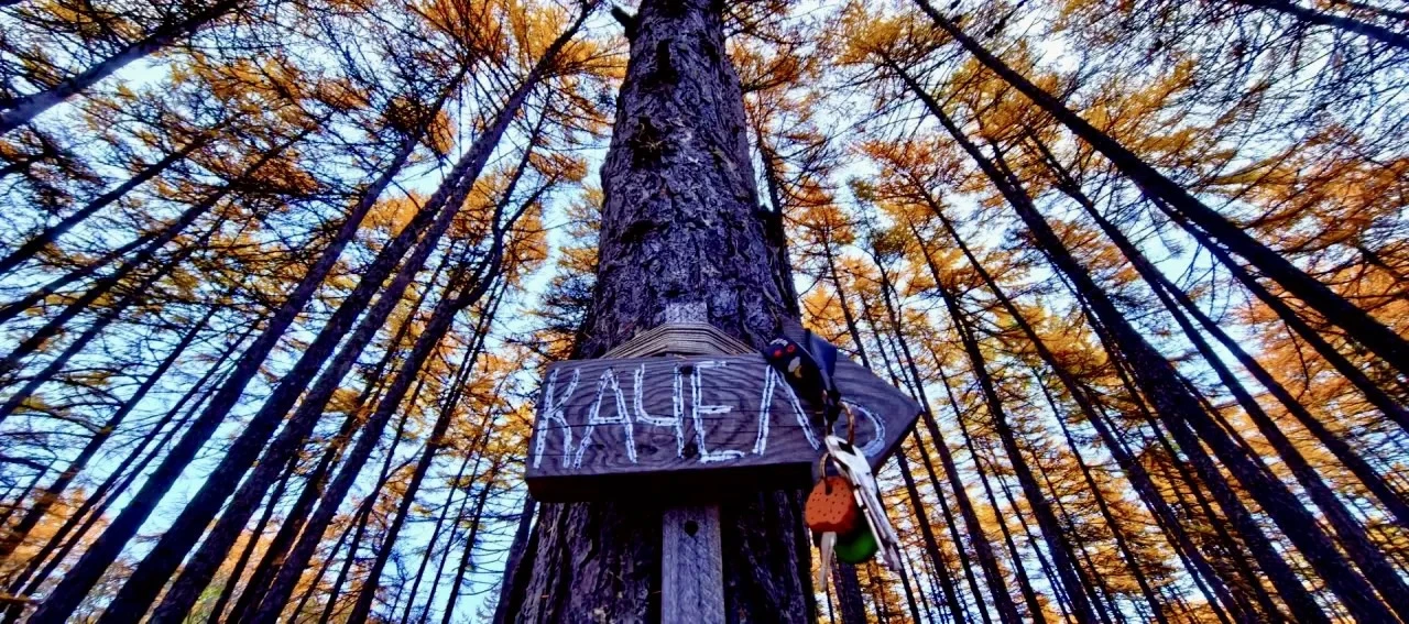 С каждой осенью влюбляемся в #НашДВ всё сильнее 🍂