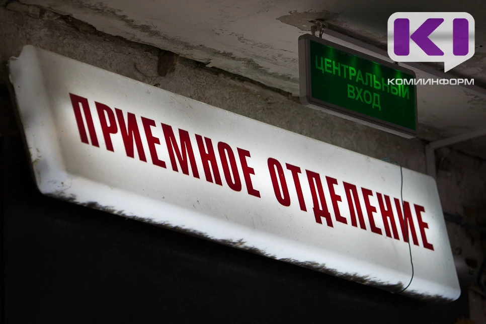 Хорек покусал нескольких жителей Сыктывкара