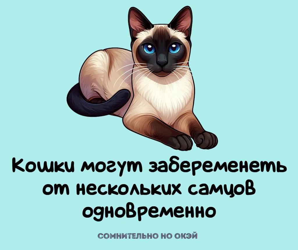 Признавайтесь, знали?