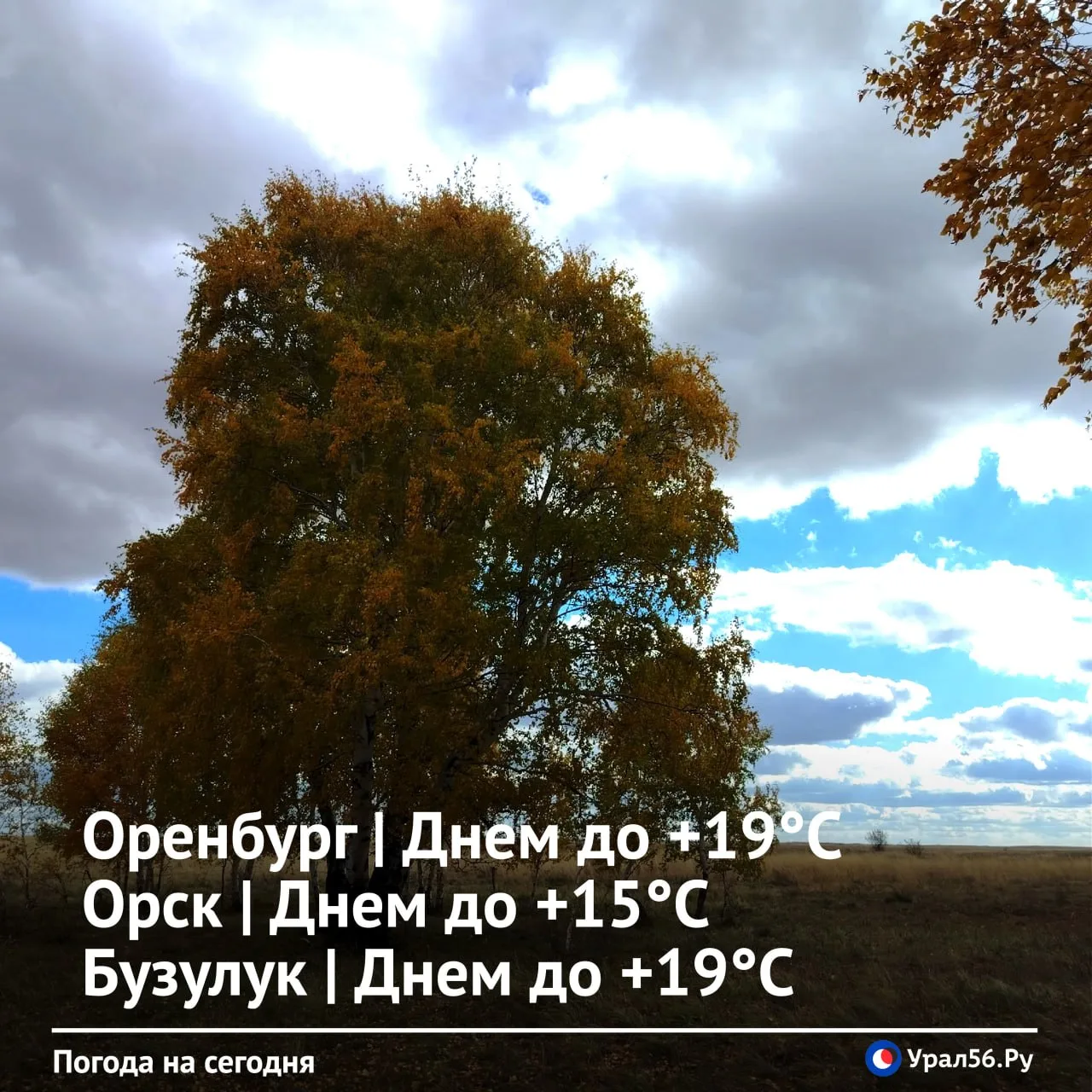 Доброе утро ☀️
