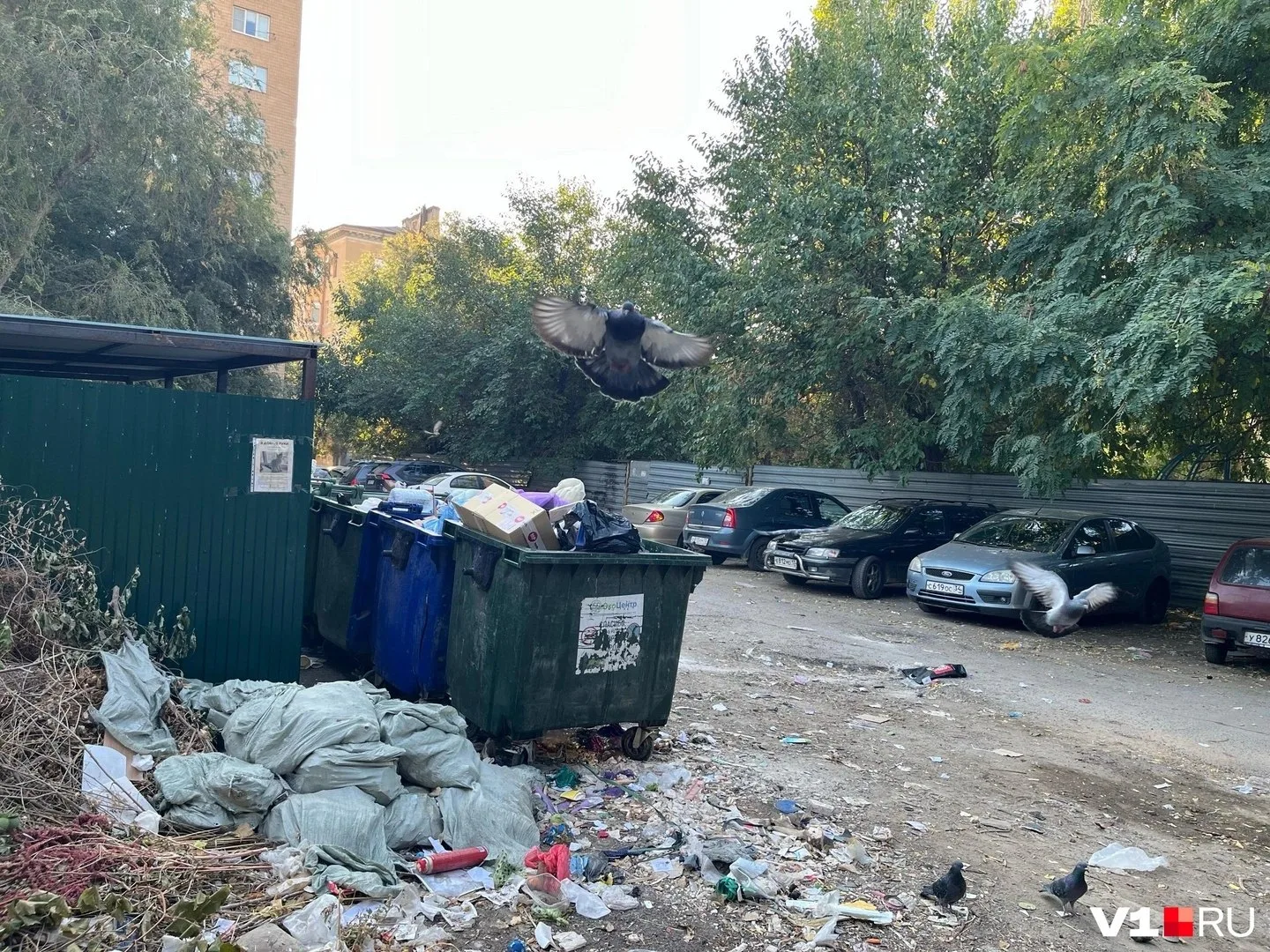 Волгоградцы жалуются на свалку у «Дома малютки»