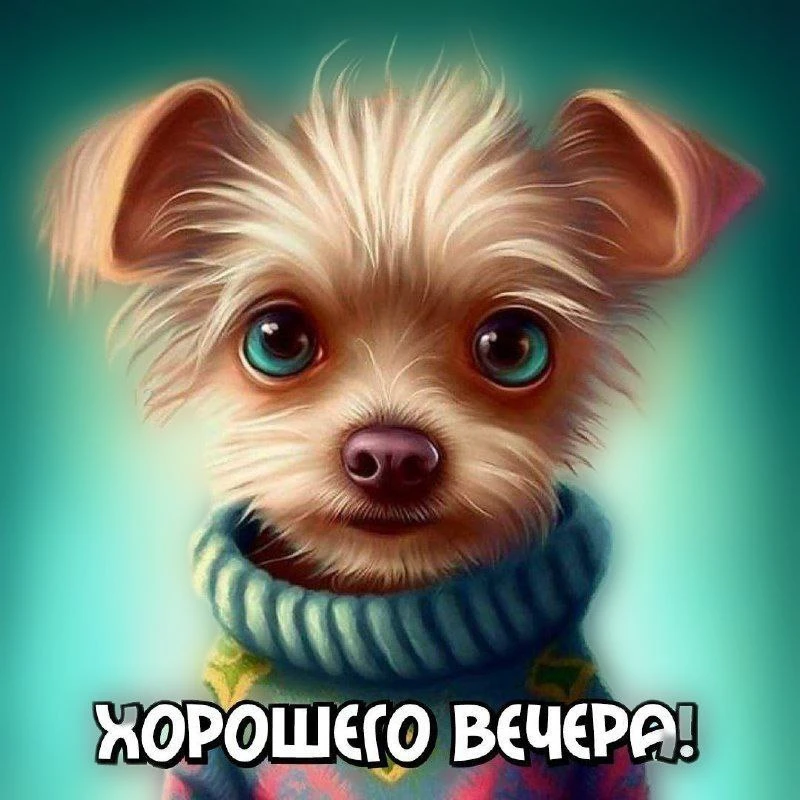 ~~~~~~~~~~~~~~~~~~~