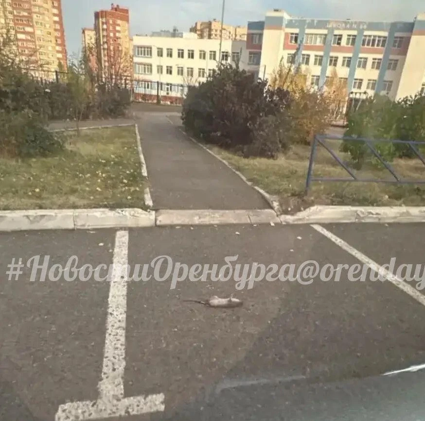 #НАМПИШУТ