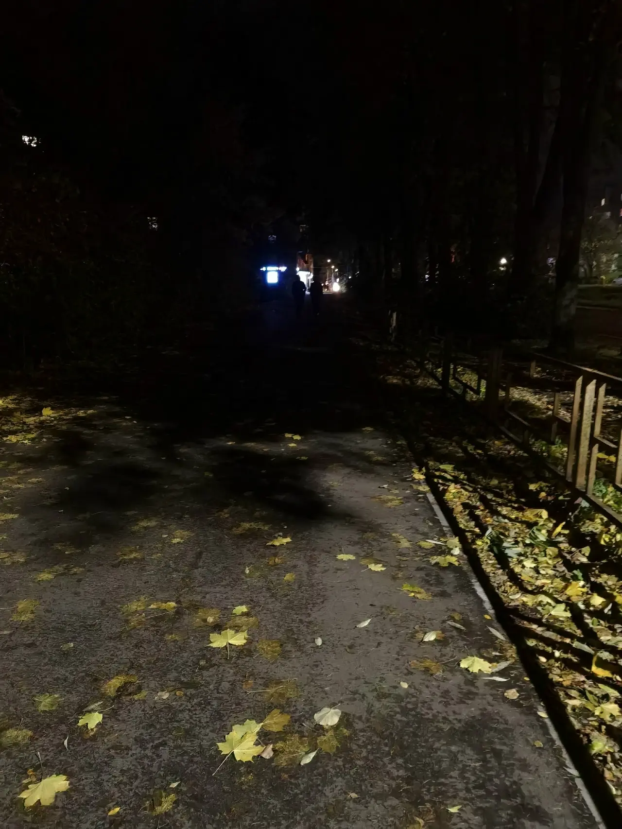 Вот так и ходим по Октябрьскому проспекту 🙄