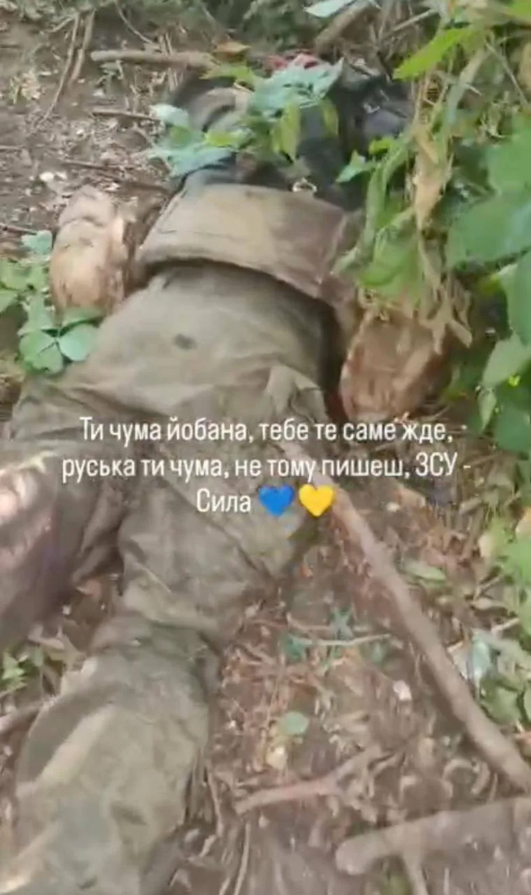 🤬 Вот она, настоящая преступная сущность боевиков ВСУ