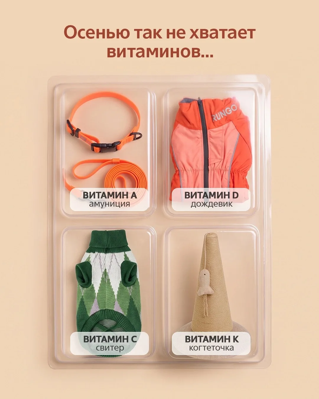 Отменяем осеннюю хандру и выписываем рецепт: шопинг на 4lapy.ru✨