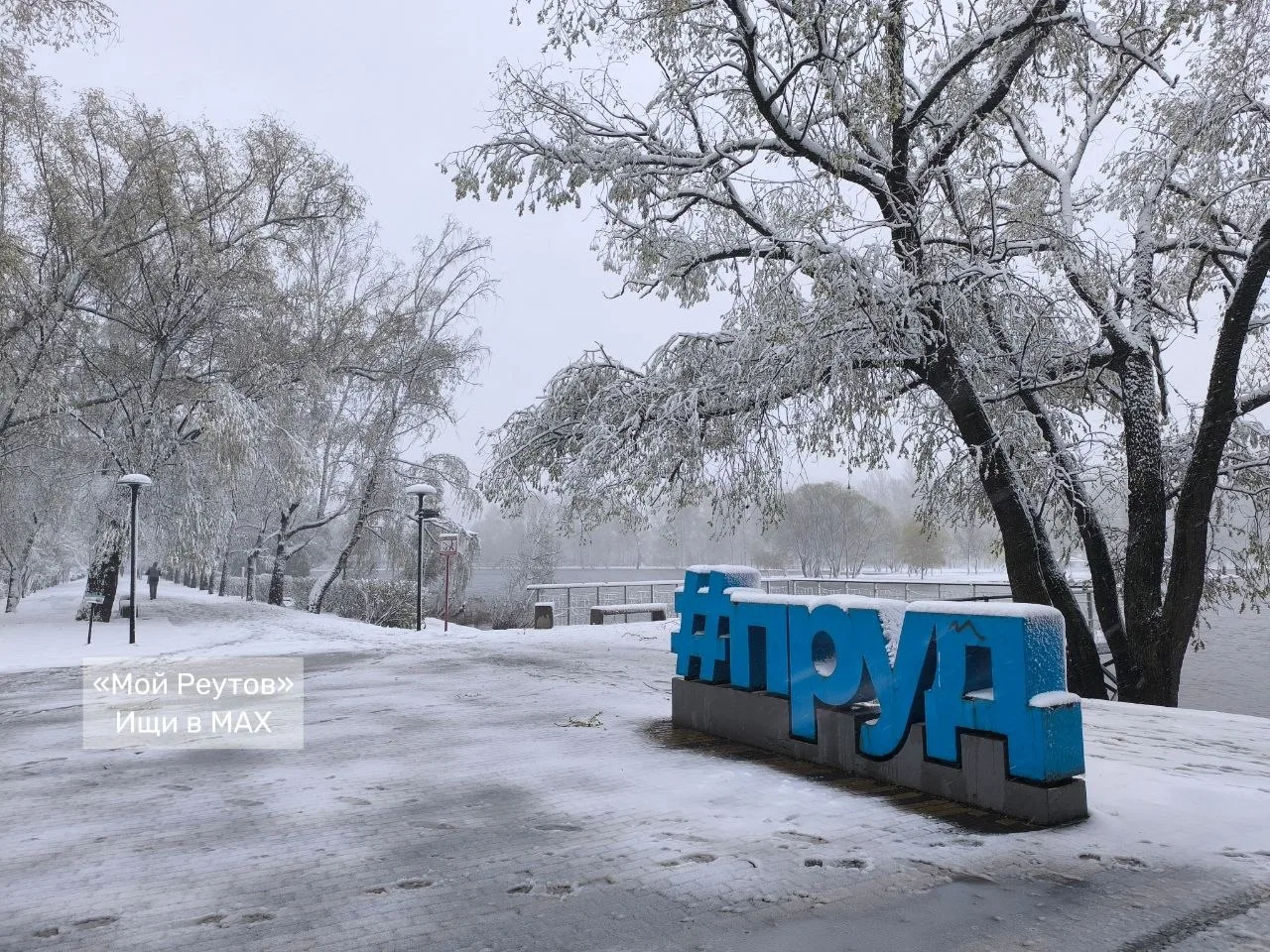🌨 Первый снег в Московском регионе выпадет существенно позже обычного, сообщил синопти...