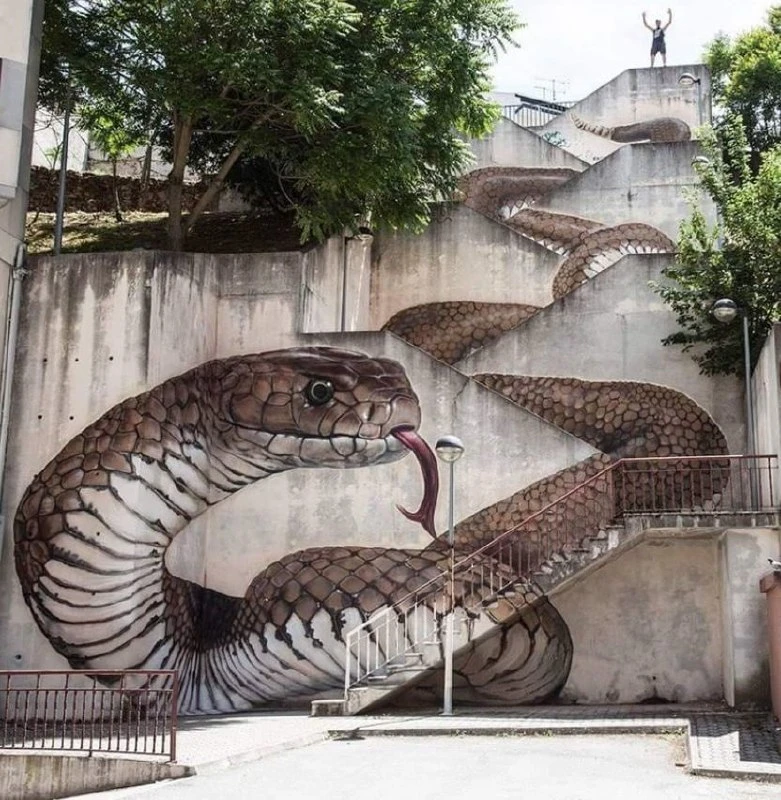Граффити 🐍