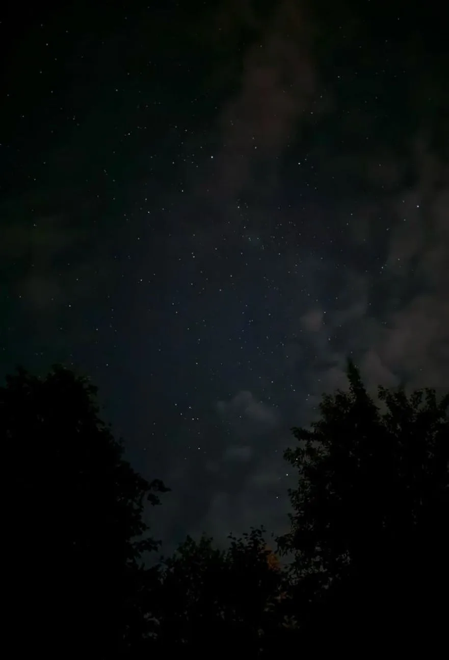 Пусть ночь укроет вас тишиной и уютом, а сны будут светлыми и добрыми. 🌙