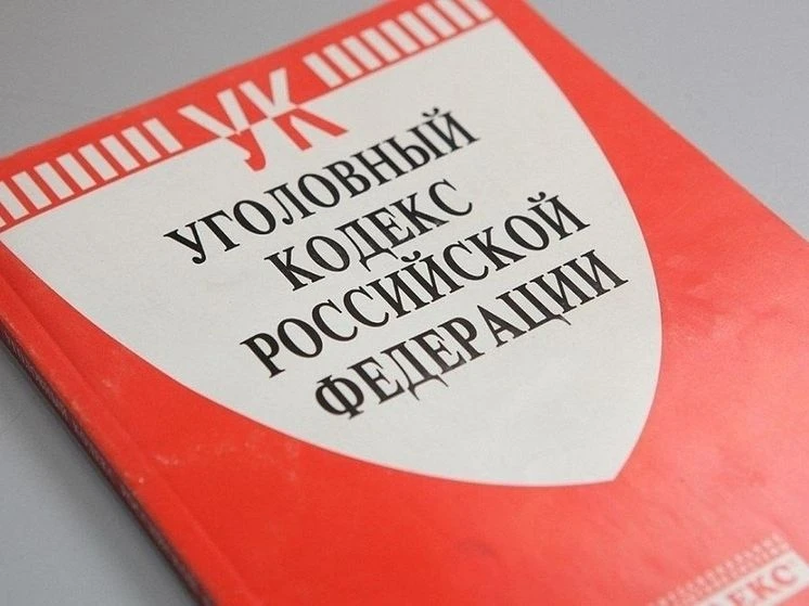 В отношении любительницы чужих наушников из Грязинского округа возбуждено уголовное дело
