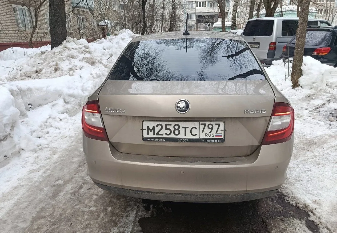 🔥 ЛОТ №3106