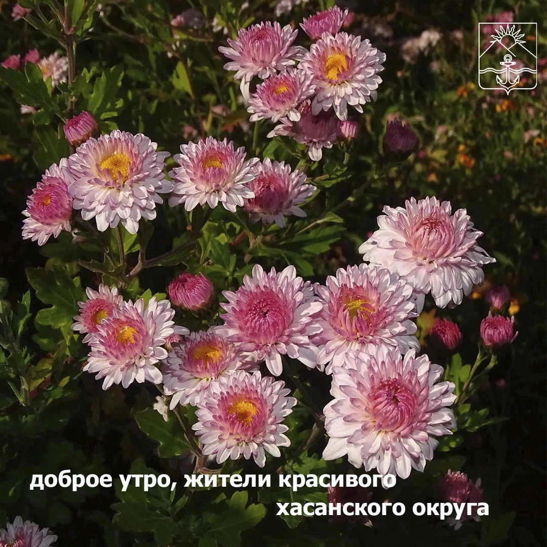 🌤Сегодня облачно