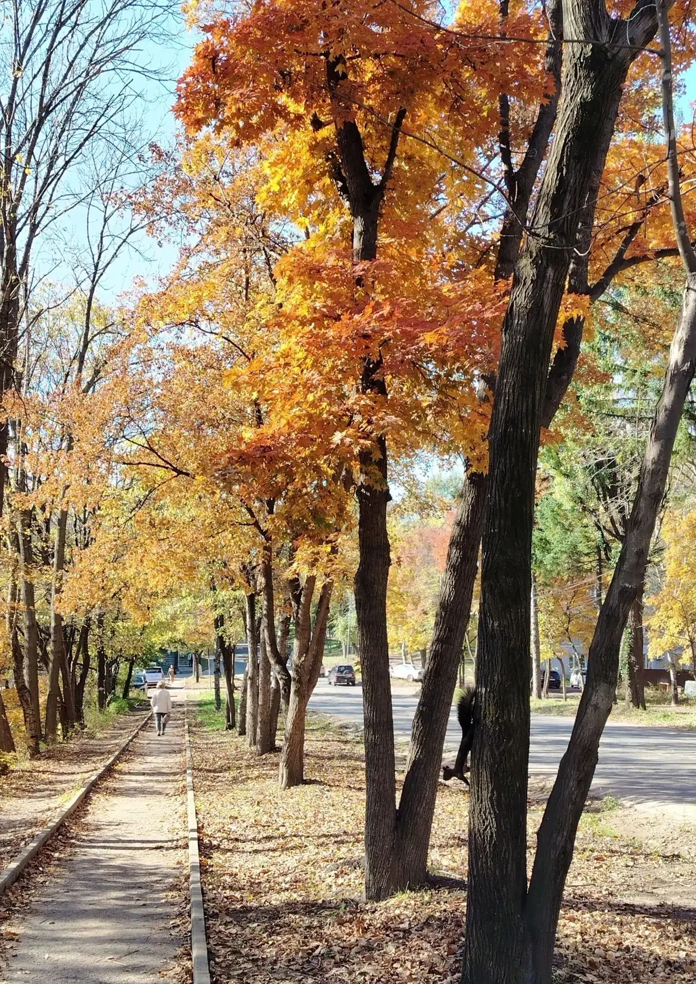 🍁🍂 Встречаем ещё одно погожее воскресенье 🍁🍂 день, когда стоит замедлиться и постар...