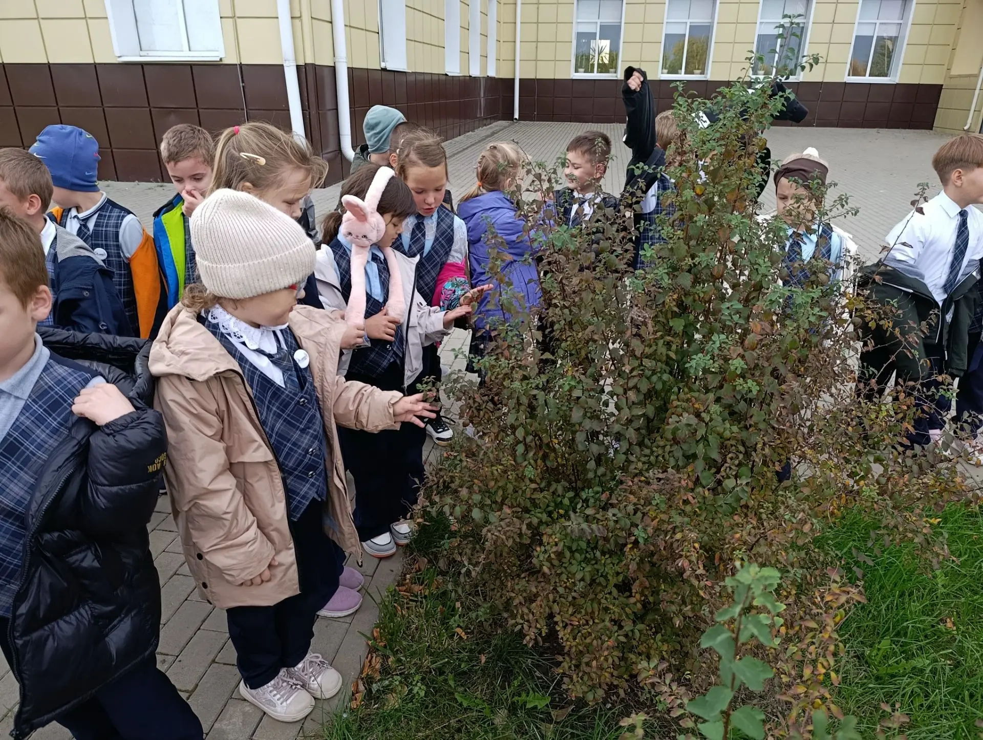 Сегодня у 1 класса был необычный урок окружающего мира! 🌳