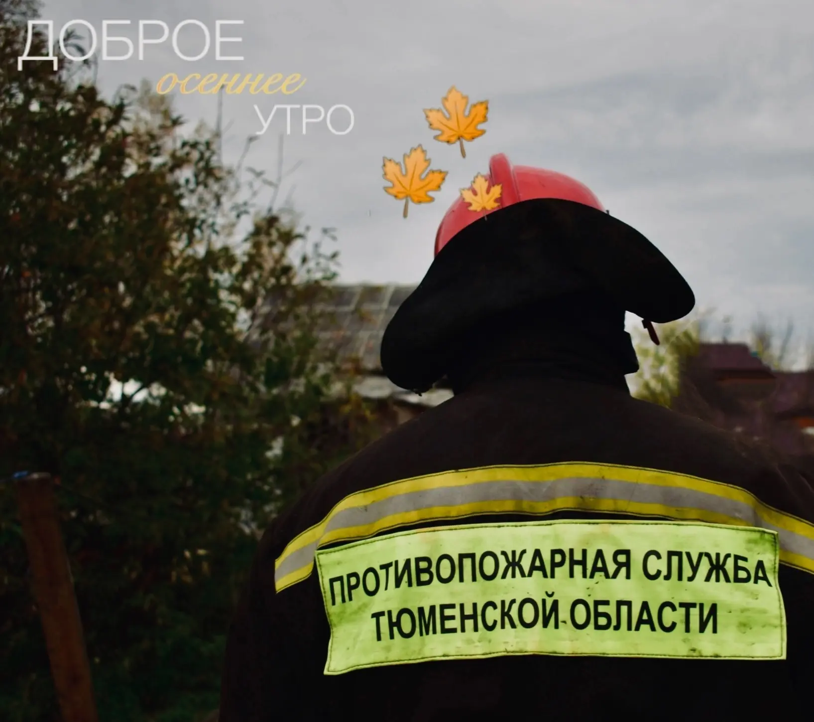 Доброе утро, Тюмень!🍂