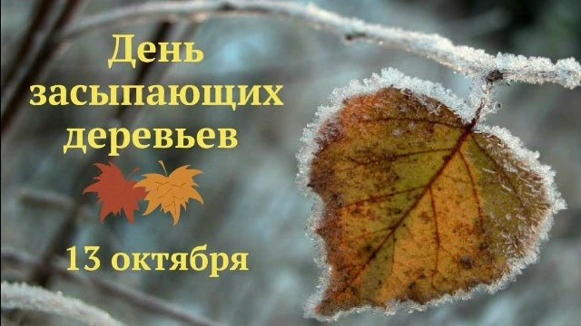 Осень — время, когда природа берет паузу ⏸️ День засыпающих деревьев — это напоминание ...