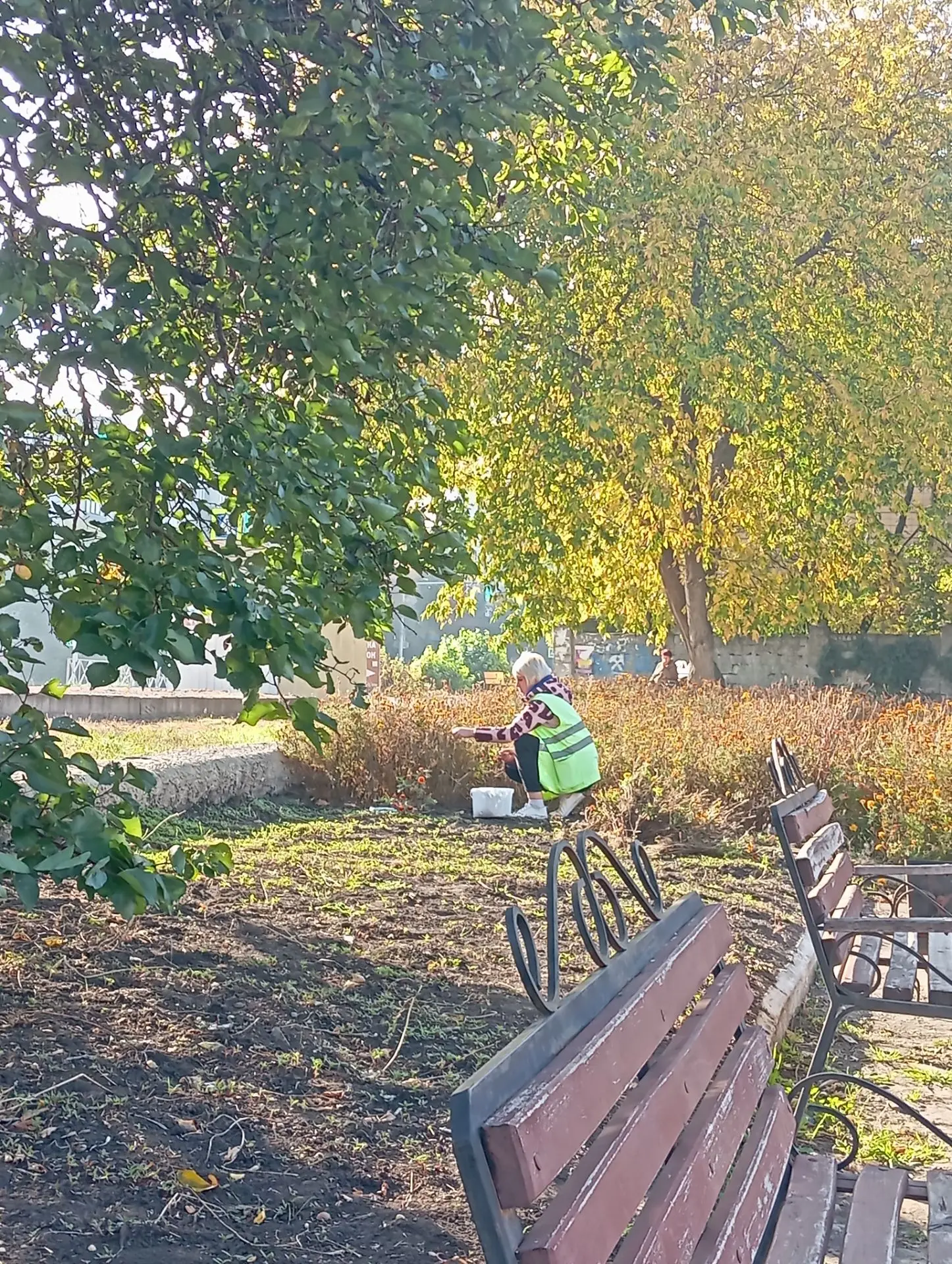 Сбор семян цветов и чистка цветников от сухостоя в скв. Св. Варвары