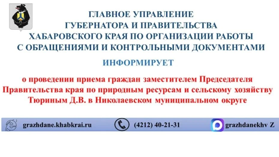21 октября 2026 года с 11.00 до 12.00 часов по адресу: г.Николаевск-на-Амуре, ул. Совет...