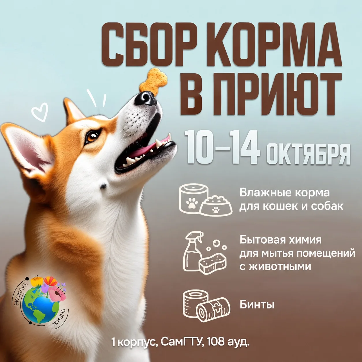 Поможем приюту «Зооспасение» вместе!