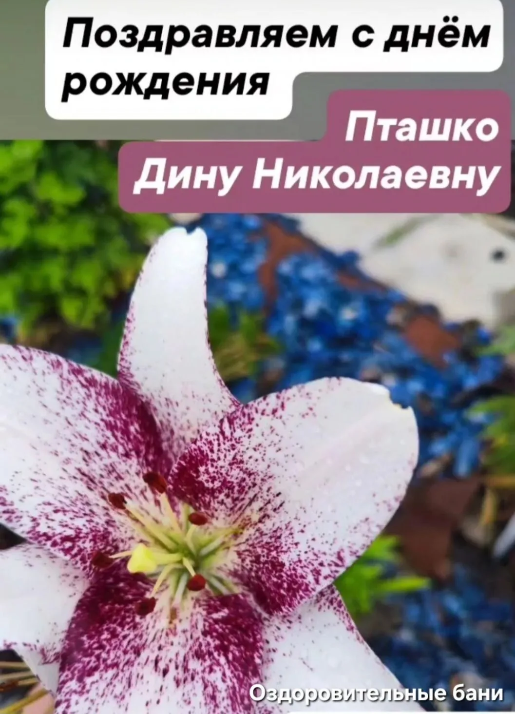 Поздравляем Дину Николаевну Пташко с днём рождения!