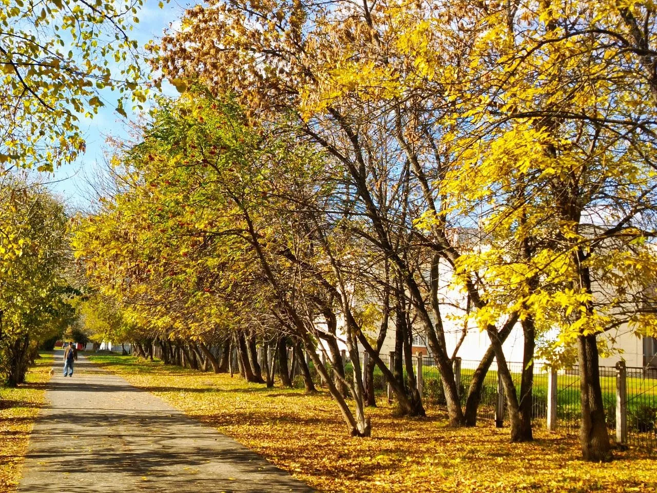 Доброе утро 🍁