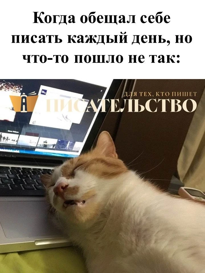 #назлобудня