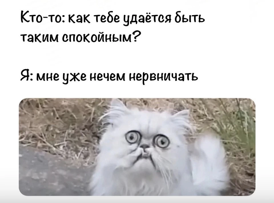 Большинство из нас в пятницу 😁