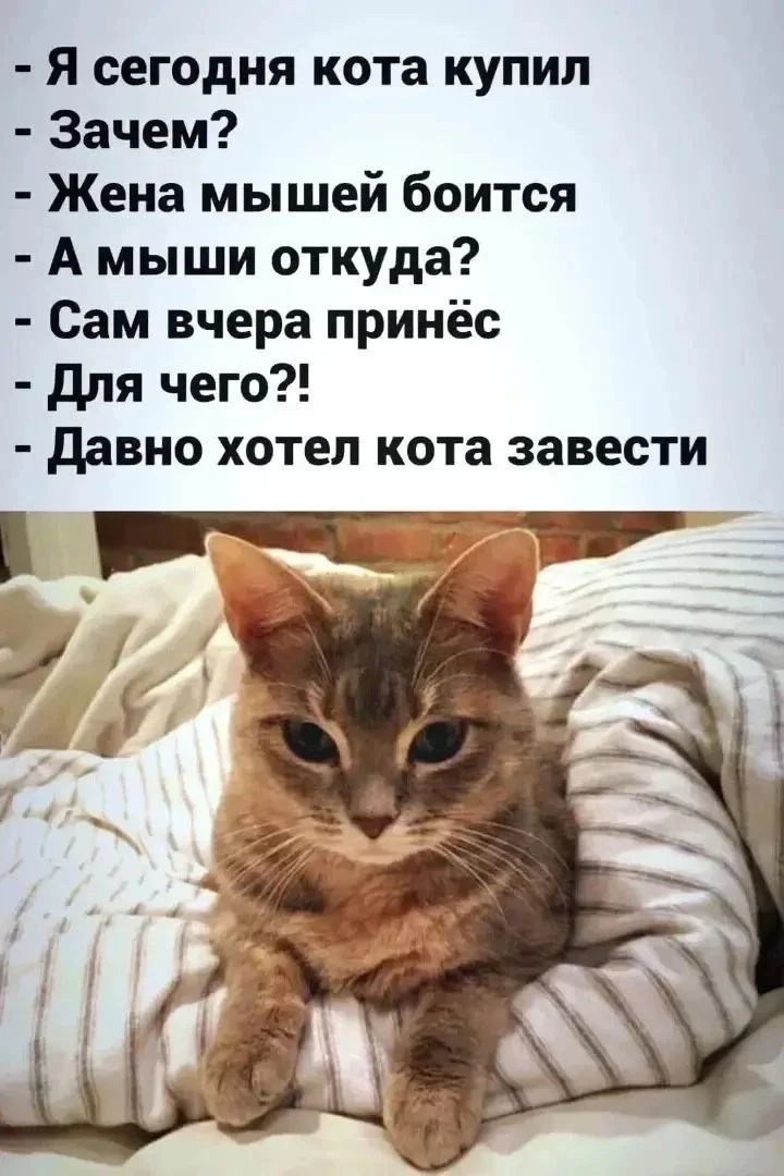 Поздравления для Настроения💌