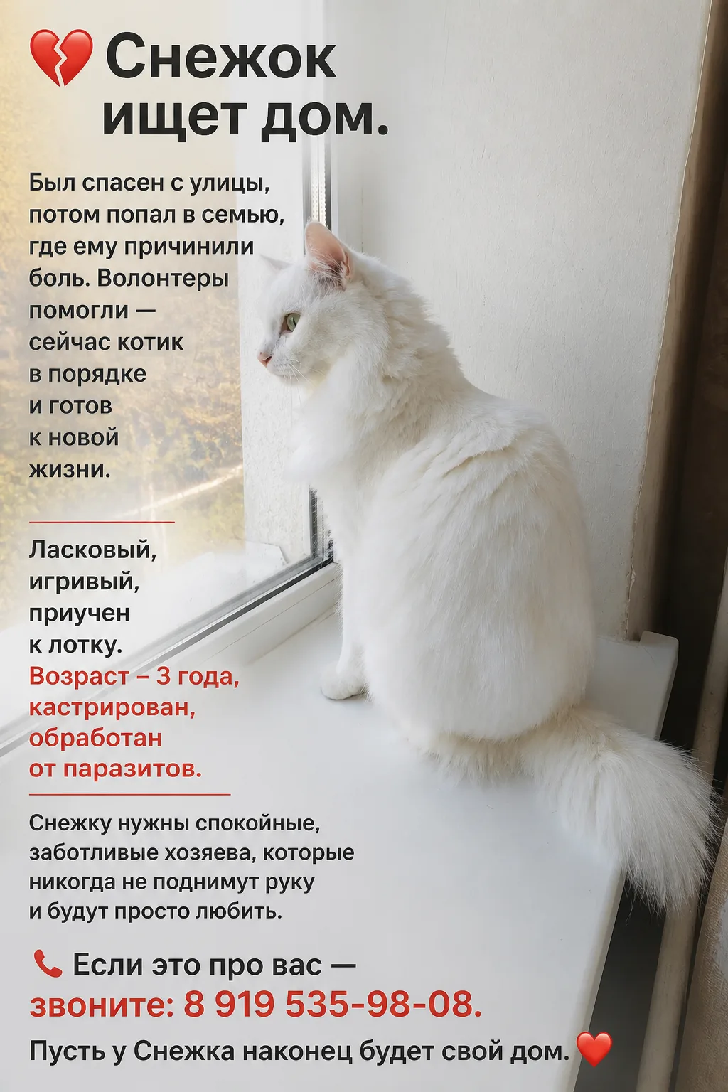 Фото
