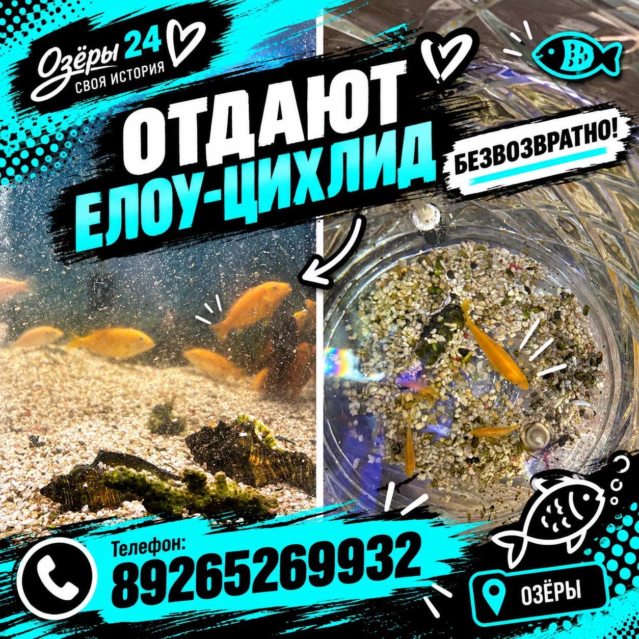 На основе моего скрина. Скрин не менять 🐟 Из предложки: отдают елоу-цихлид. Безвозвратно.