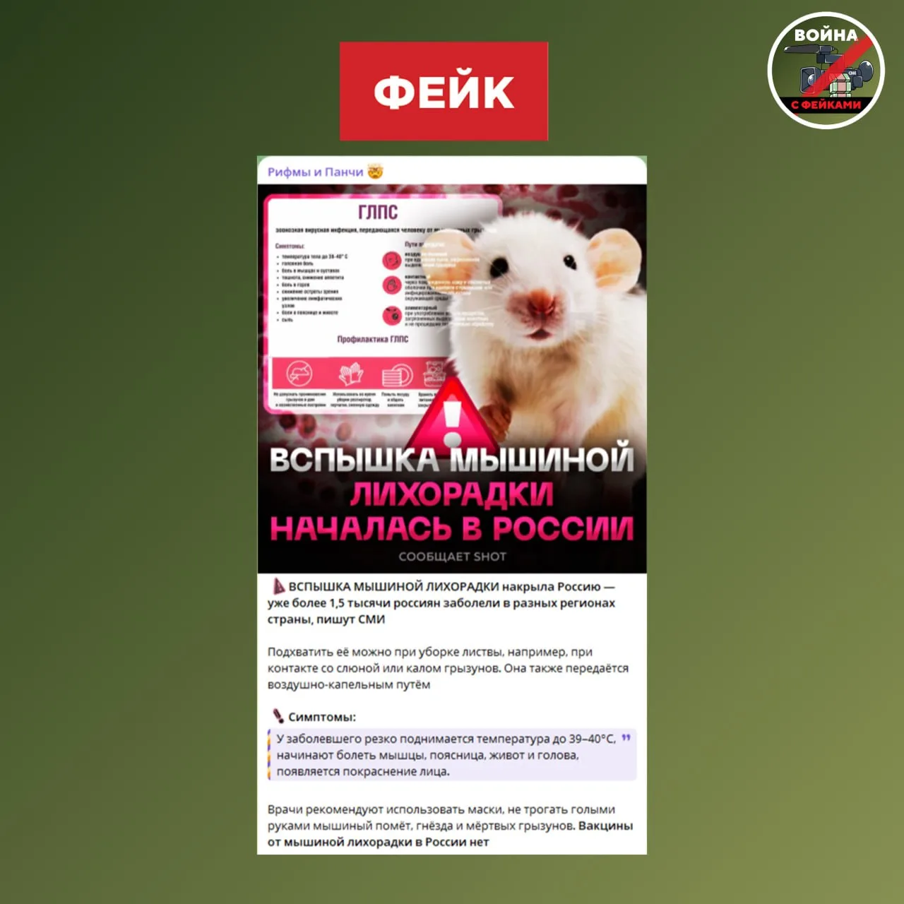 Фейк: В России бушует эпидемия мышиной лихорадки — заразились уже 1,5 тысячи россиян. О...