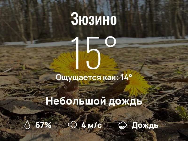 Что с погодой в Зюзино?