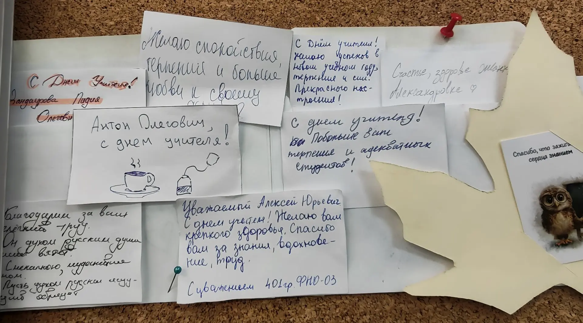 #Акция@bibliotekampgu
