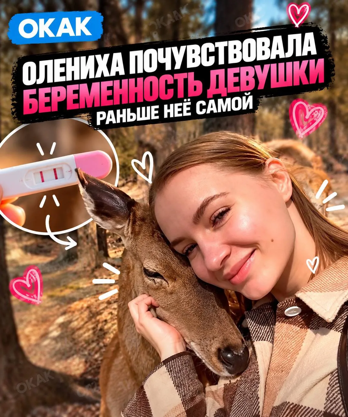 ❤️ ОЛЕНИХА ПОЧУВСТВОВАЛА БЕРЕМЕННОСТЬ девушки раньше неё самой — животное неожиданно на...
