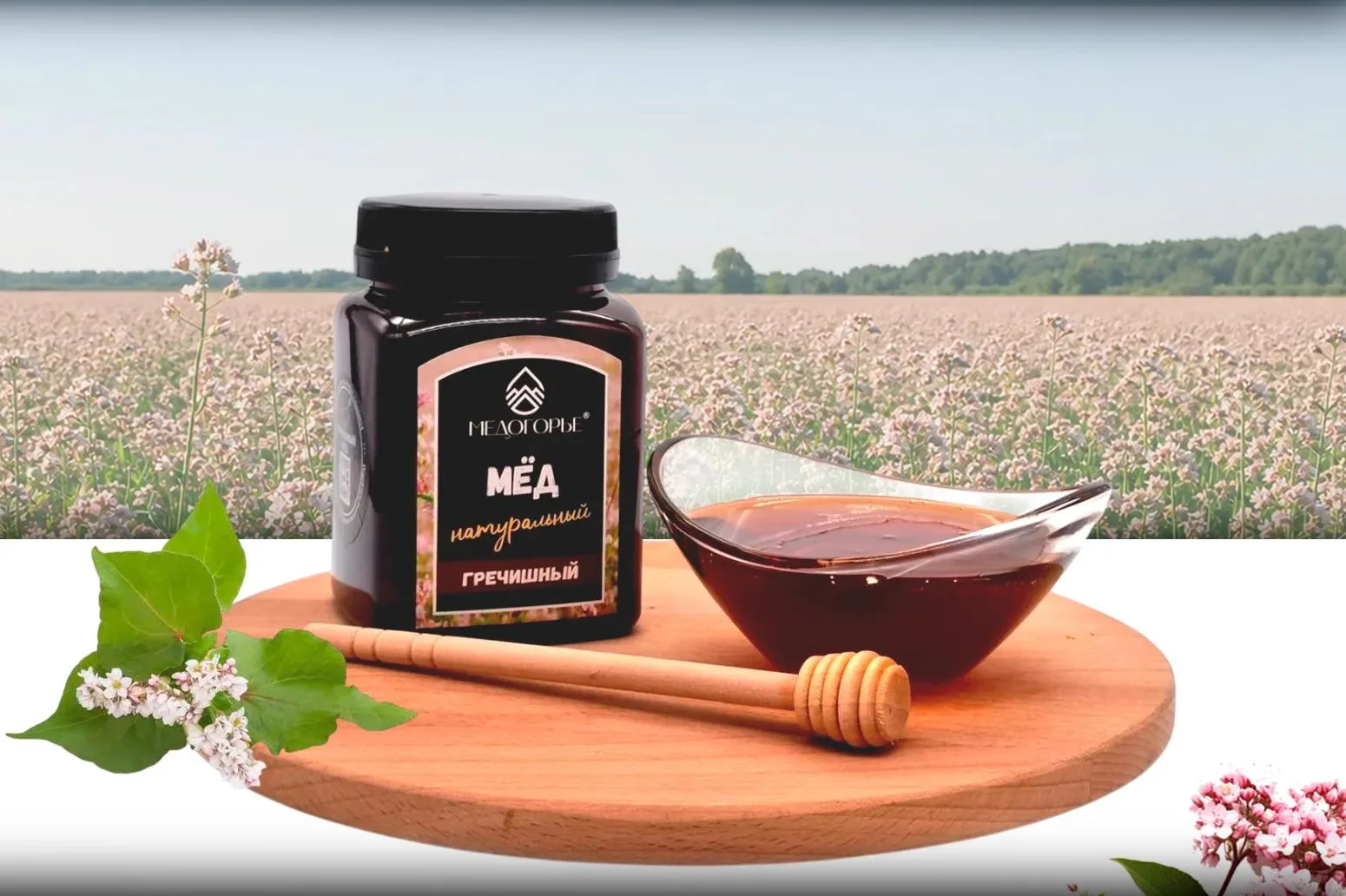 🍯 ГРЕЧИШНЫЙ МЁД АЛТАЯ — СБОР 2026 ГОДА!