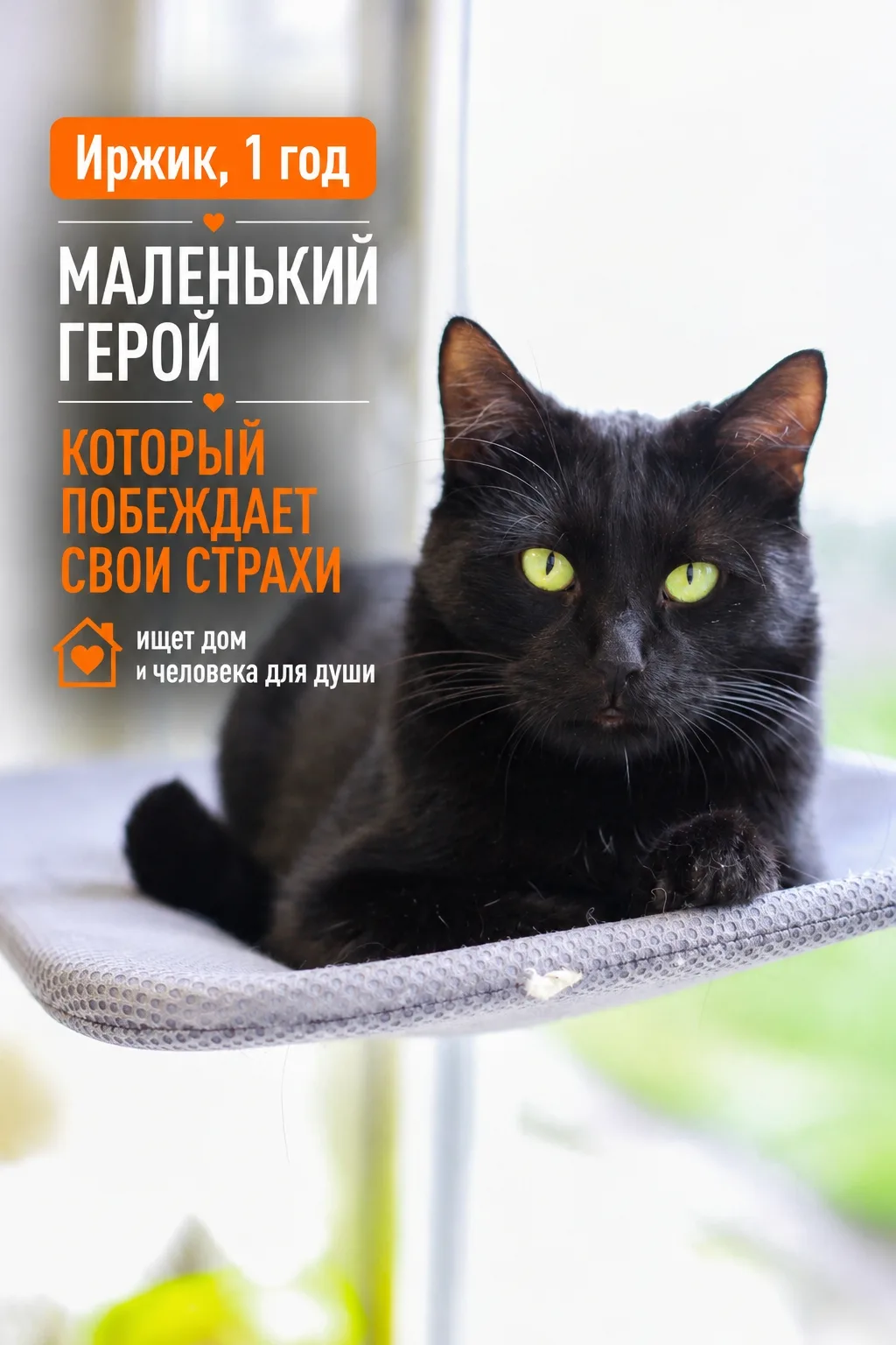 Иржик — настоящий маленький герой! Каждый день он совершает свой личный подвиг: уверенн...