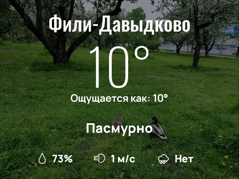 Что с погодой в Фили-Давыдково?