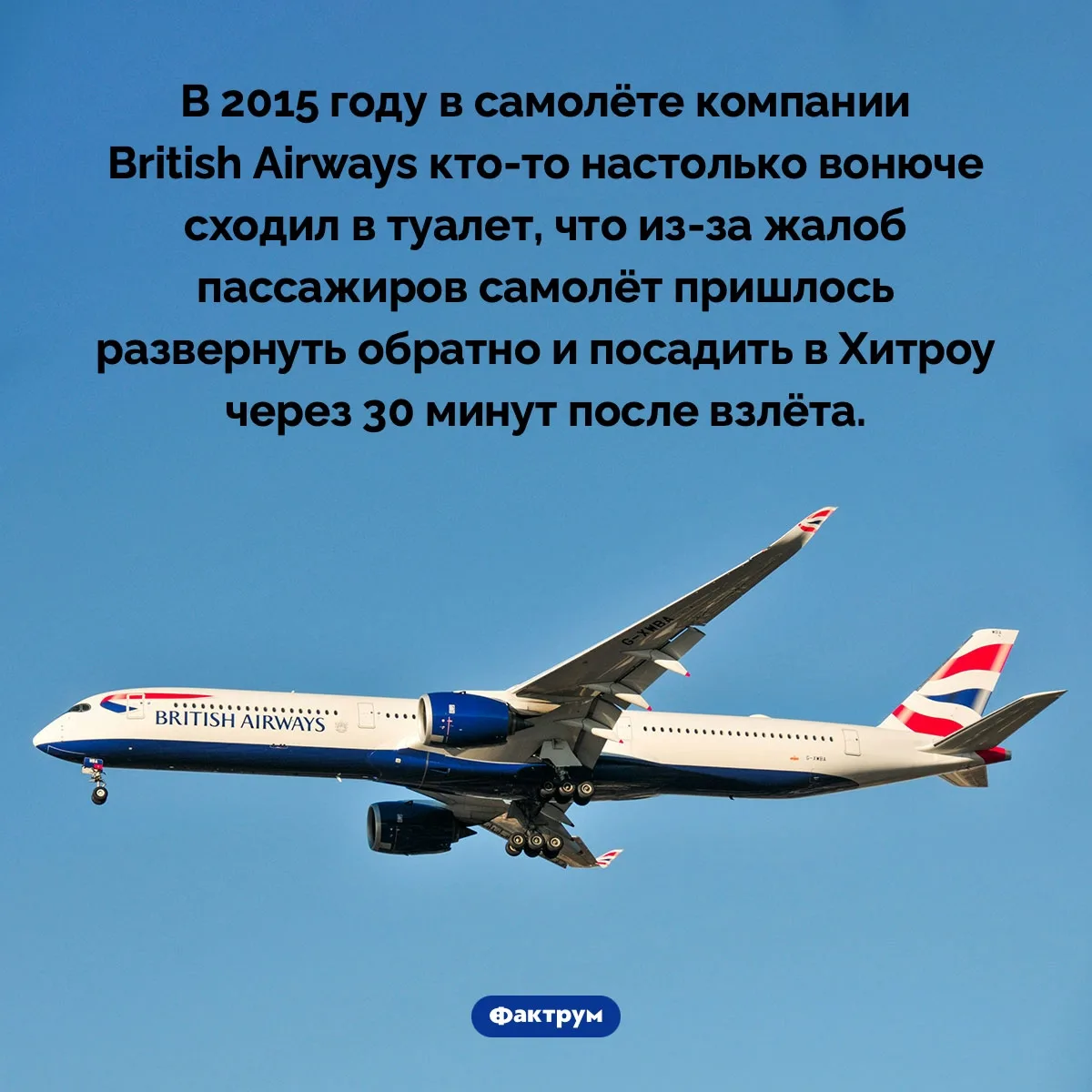 Рубрика "Факты дня в картинках"