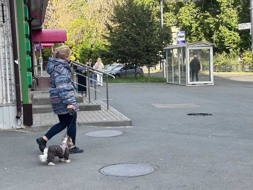 🌞Саратовцам в субботу пообещали до 26 градусов тепла